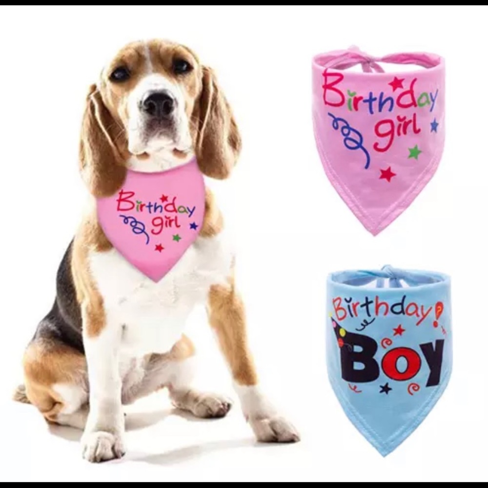 New! Pet Birthday Bandana